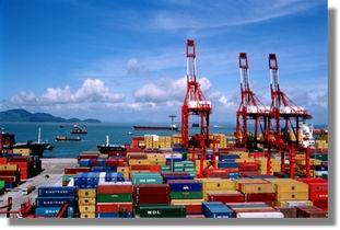 揚州到番禺集裝箱海運物流運輸服務(wù)與運輸代理